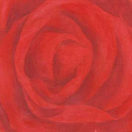 Framed Single Red Rose Print