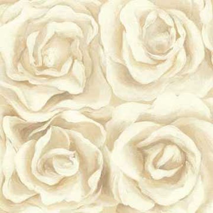Framed Roses Single Cream 4 Print