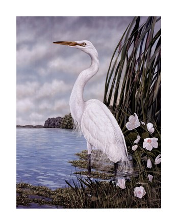 Framed Great White Egret Print