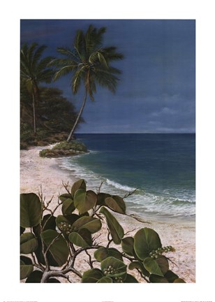 Framed Carribean Escape I Print