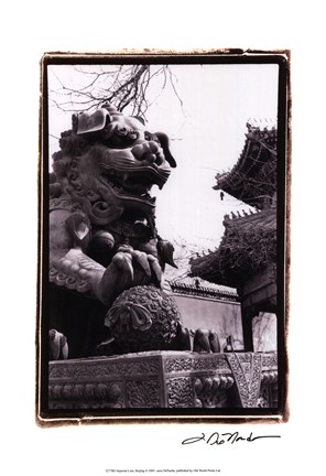 Framed Imperial Lion, Beijing Print