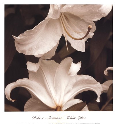 Framed White Lilies Print