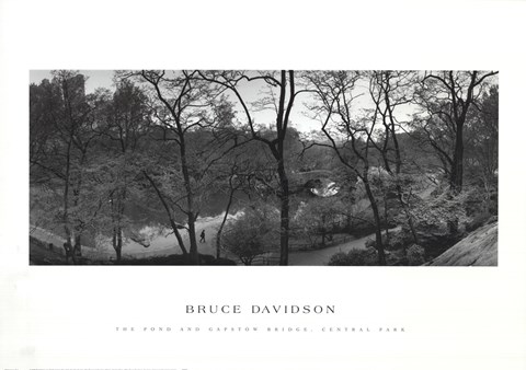 Framed Pond and Gapstow Bridge, Central Park, 1992 Print