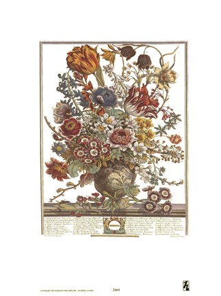 Framed March/Twelve Months of Flowers, 1730 Print