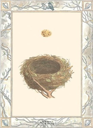 Framed Woodland Nest IV Print
