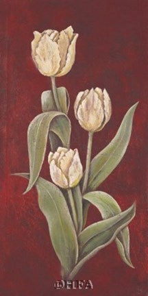 Framed Tulips on Cinnabar II Print