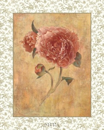 Framed Antique Peony I Print