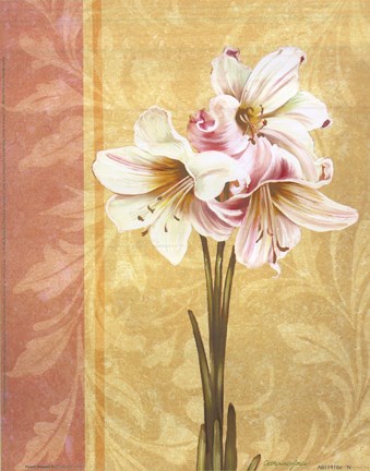 Framed Flower Bouquet II Print