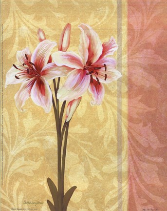 Framed Flower Bouquet III Print