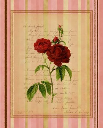 Framed Botanical Rose III Print