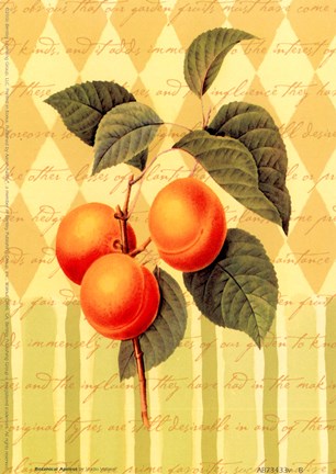 Framed Botanical Apricot Print