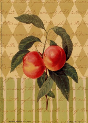 Framed Botanical Peaches Print