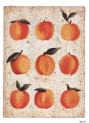 Framed Peach Collage Print