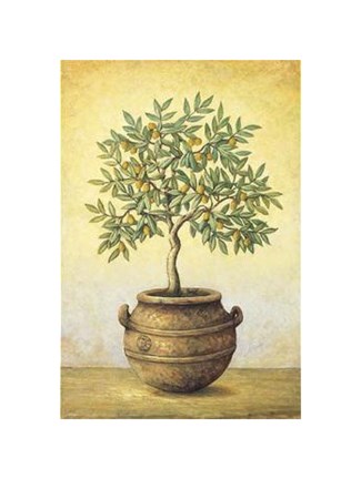 Framed Green Olive Tree Print