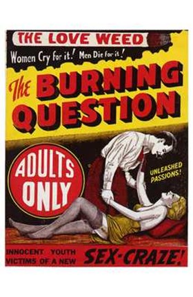 Framed Burning Question Print