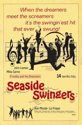 Framed Seaside Swingers Print