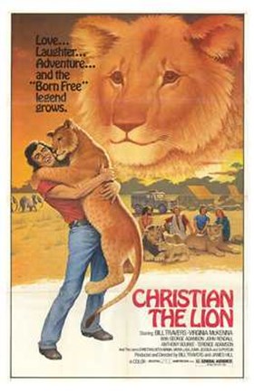 Framed Christian the Lion Print