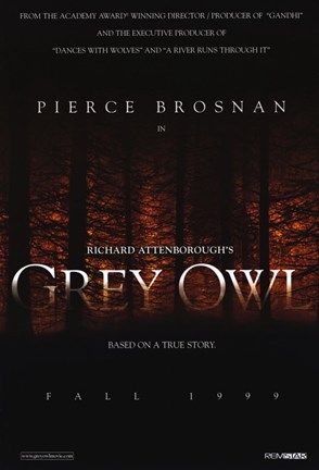 Framed Grey Owl Print