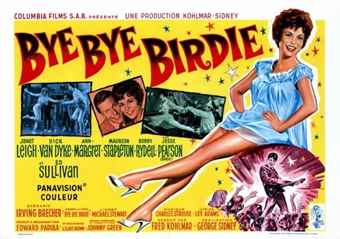 Framed Bye Bye Birdie Print