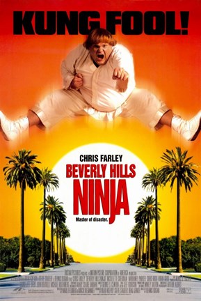 Framed Beverly Hills Ninja Print