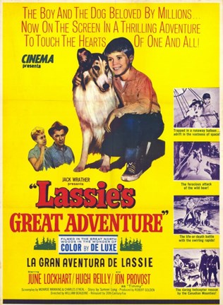 Framed Lassie&#39;s Great Adventure Print
