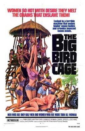 Framed Big Bird Cage Print
