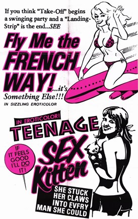 Framed Fly Me the French Way-Sex Kittens Print