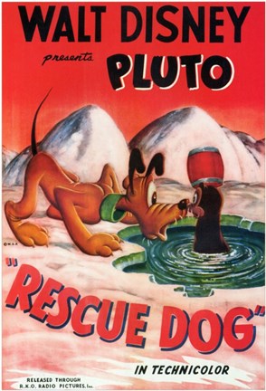 Framed Rescue Dog Print