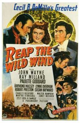 Framed Reap the Wild Wind Print