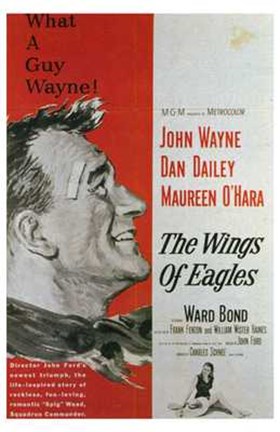 Framed Wings of Eagles Print