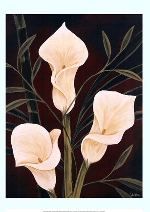 Framed Botanical Elegance II Print