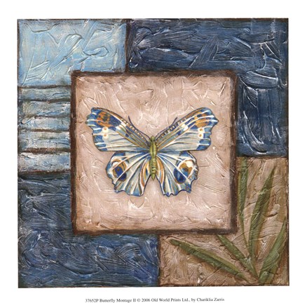 Framed Butterfly Montage II Print