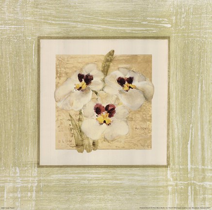 Framed Exotic Floral I Print