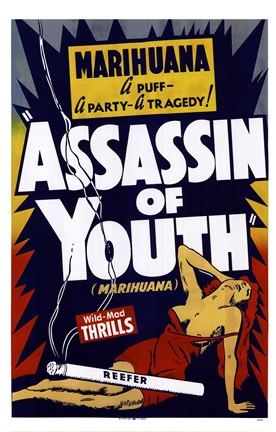 Framed Assassin Of Youth Print