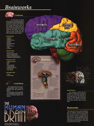 Framed Brainworks (Functions) Print