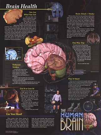 Framed Brain Health Print