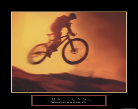 Framed Challenge - Bike Print