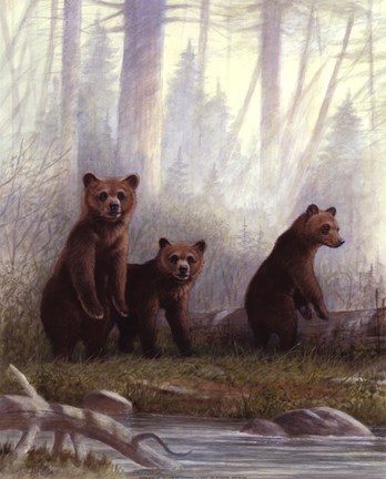 Framed Grizzly Cubs Print