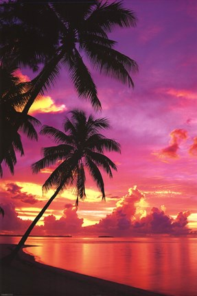 Framed Tahitian Sunset Print