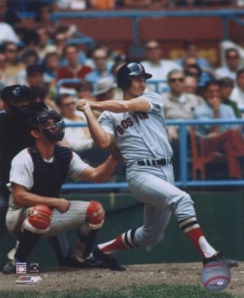 Framed Carl Yastrzemski FULL SWING Print