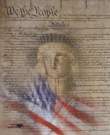 Framed Flag/Constitution Collage Print