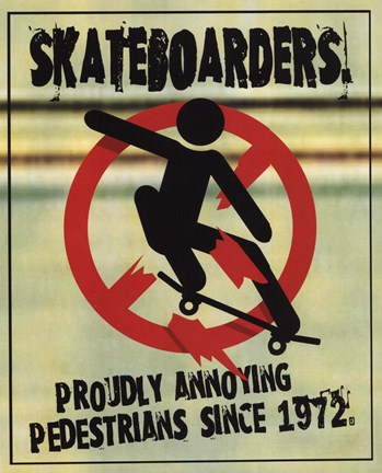 Framed Skateboarders (postercard) Print