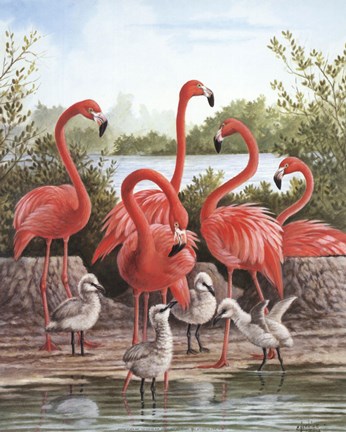 Framed Flamingo 1 Print