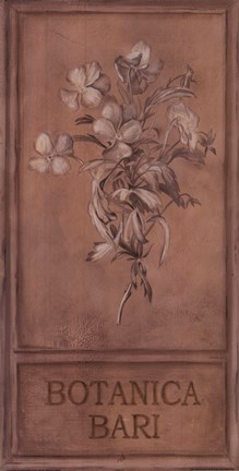Framed Botanica Bari Print