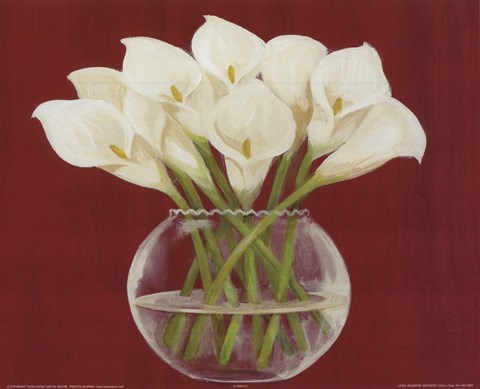 Framed White Cala Lilies In Vase Print