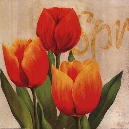 Framed Orange Red Tulips Print