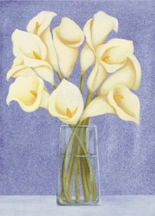 Framed White Cala Lilies In Vase Print