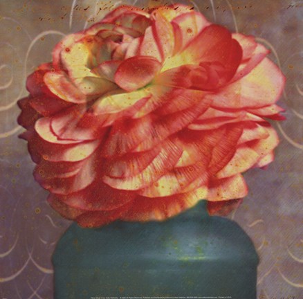 Framed Floral Study IV Print