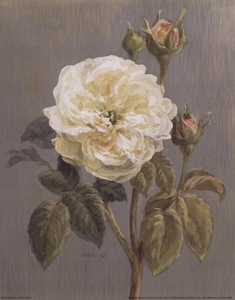 Framed Heirloom White Rose Print