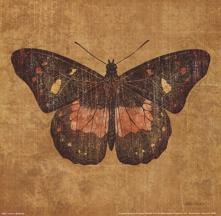 Framed Ochre Butterfly Print